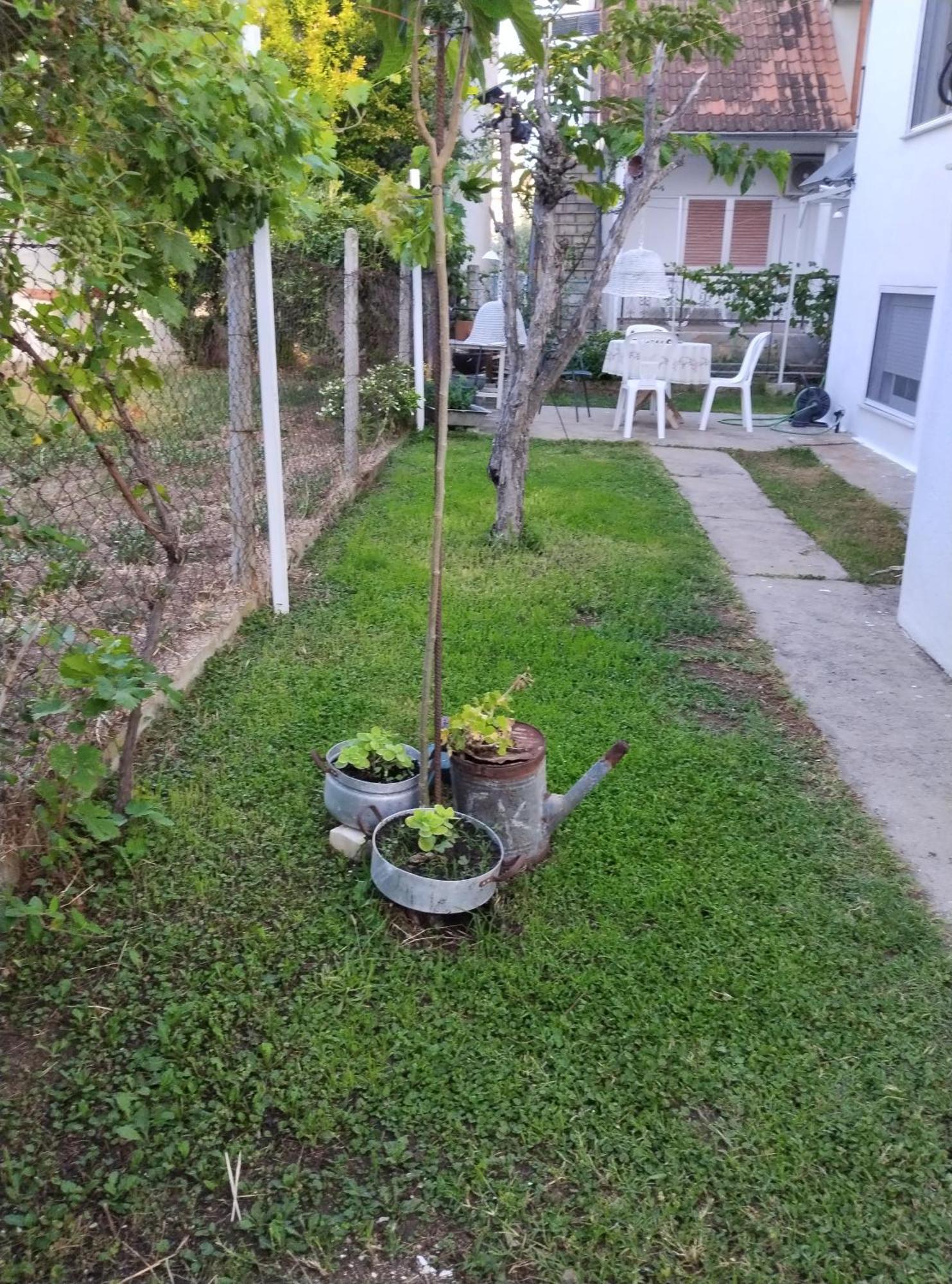 θαλασσινή αυρα Hébergement de vacances