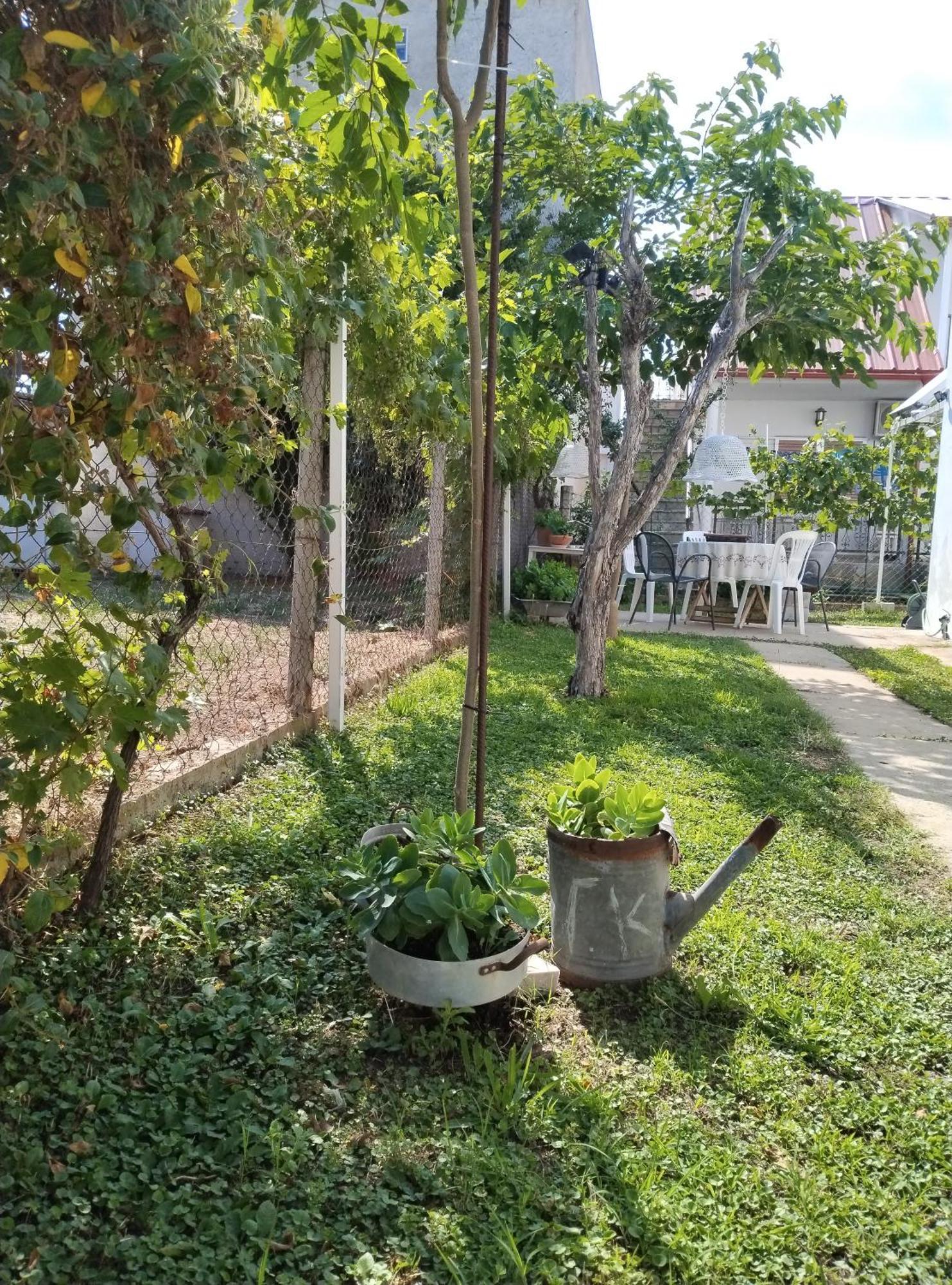 θαλασσινή αυρα Hébergement de vacances Vrasná